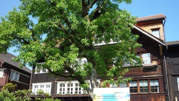 Un edificio de madera tradicional con un letrero, rodeado de exuberante vegetación y un buzón rojo.