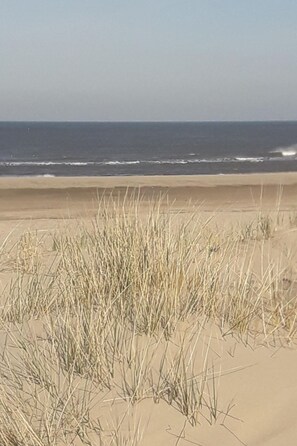 Ein Strand mit Sand im Vordergrund und vereinzelten Grashalmen, im Hintergrund das Meer.