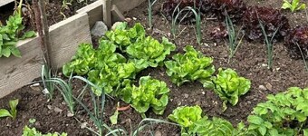 Einzimmerwohnung mit Bergblick by Interhome