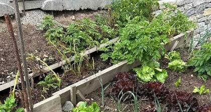 Einzimmerwohnung mit Bergblick by Interhome