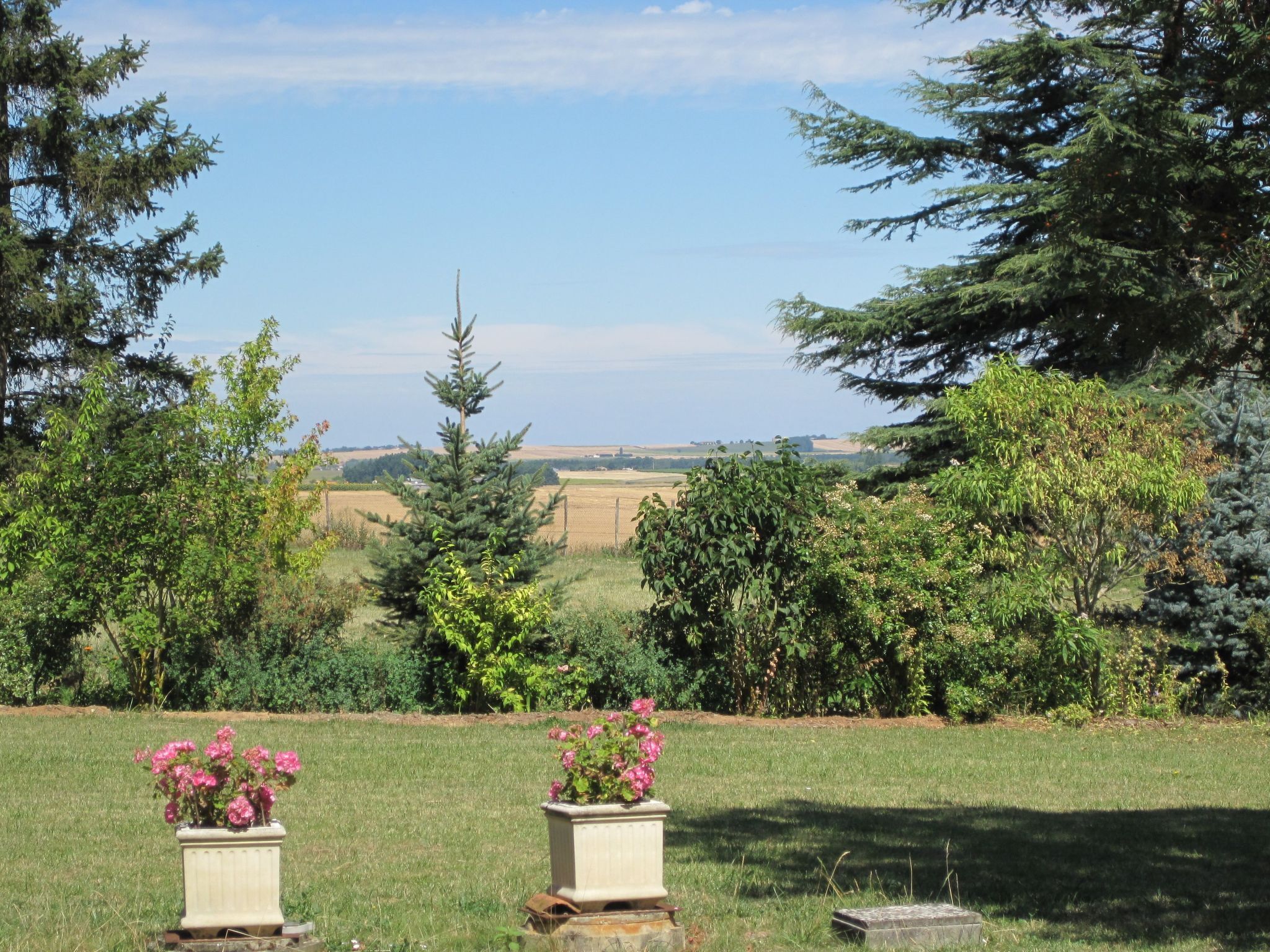 Áreas de la propiedad