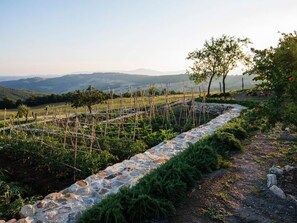 Property grounds - Ferienvilla 'Casale Galli' mit eigenem Pool by Interhome (Acquapendente)