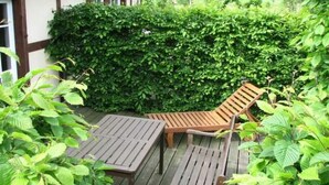 Eine Holzterrasse mit zwei Tischen und zwei Stühlen, umgeben von üppiger Vegetation und einem Heckenstreifen.