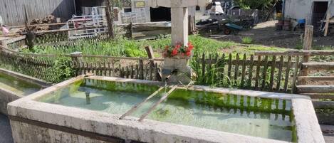 Parco della struttura