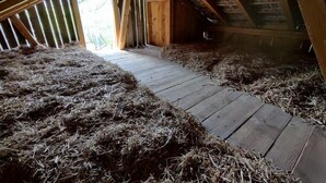 Een zolder met houten balken, een houten vloer en stro rondgespreid.