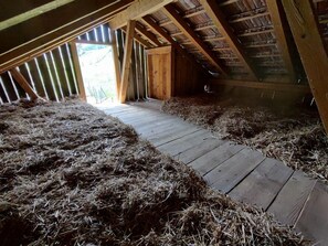 Enceinte de l’hébergement