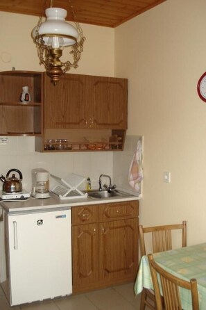 Fridge, microwave, oven, cookware/dishes/utensils