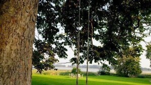 A swing set in a grassy area with a tree trunk to the left and a body of water in the background. - Wohnung im ersten Obergeschoss des Gutshauses by Interhome (Gingst)