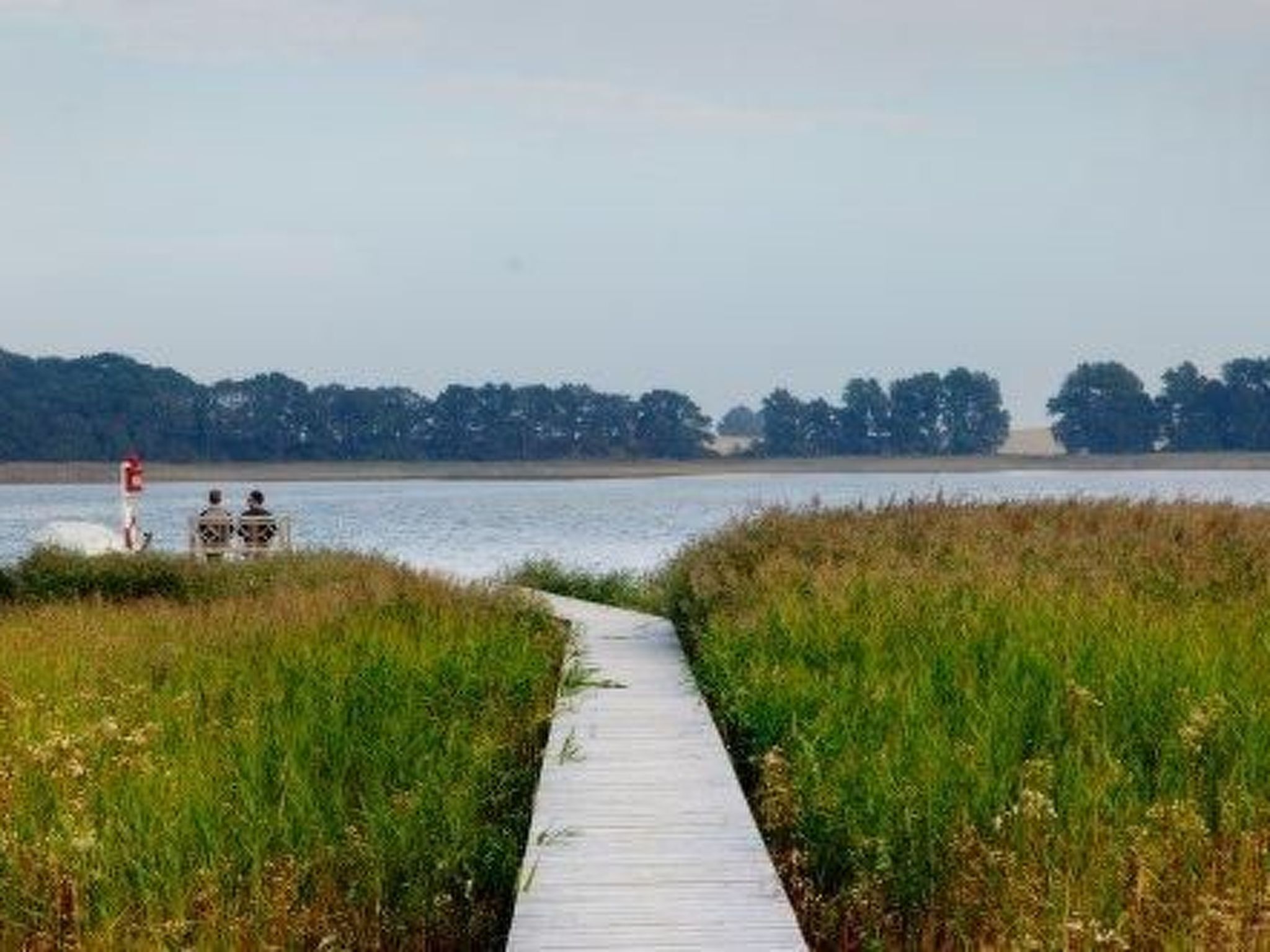 A wooden boardwalk leading to a body of water with trees in the background.