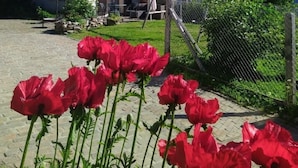 Ein Haus mit geneigtem Dach, einem umzäunten Garten und roten Blumen im Vordergrund.
