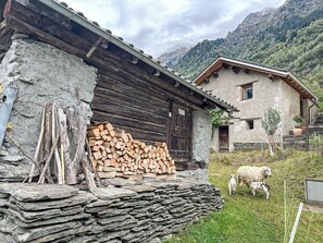 Extérieur