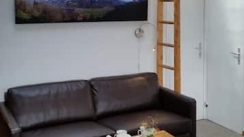 Télévision, cheminée, lecteur de DVD