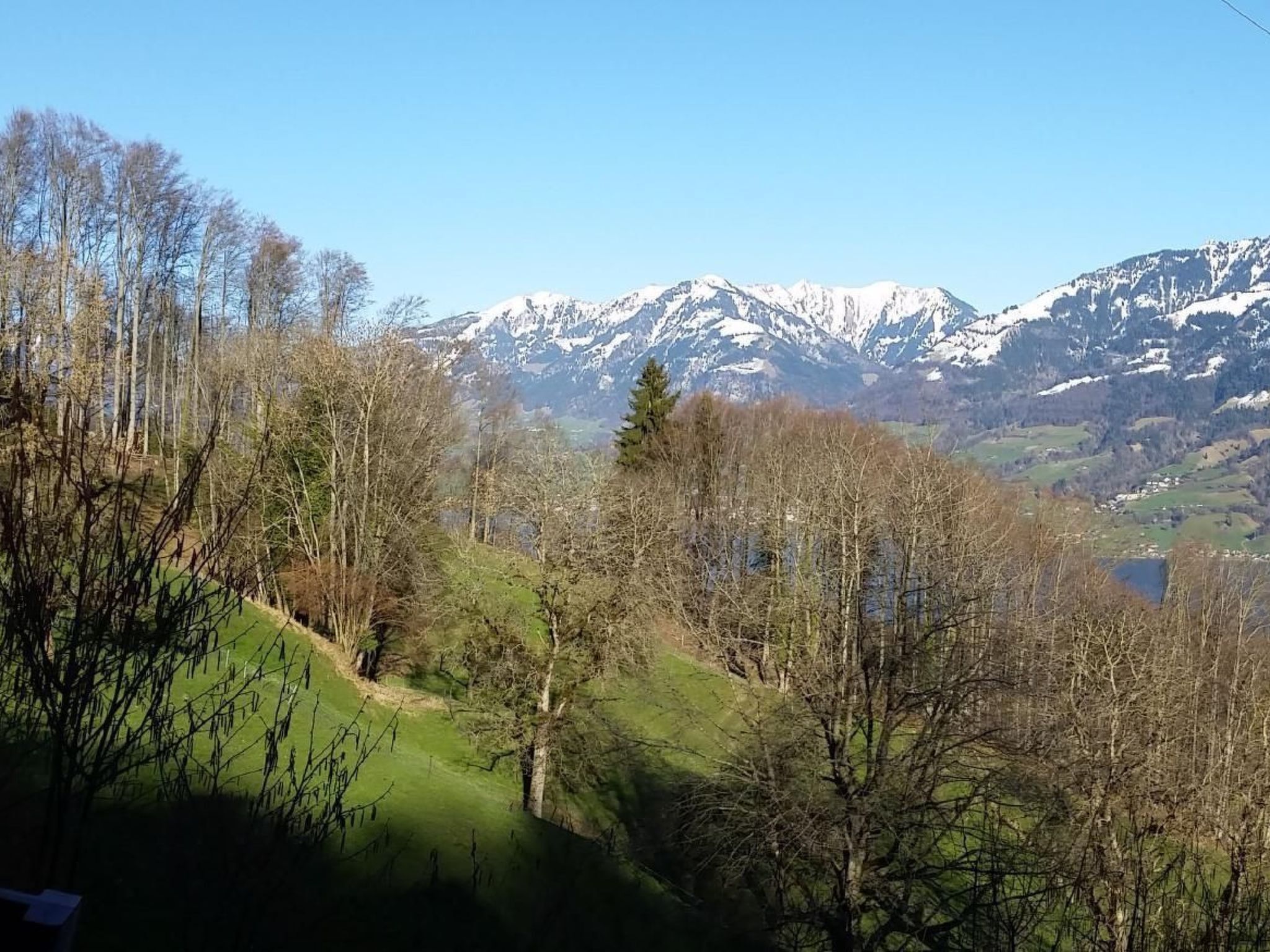 Un paisaje montañoso con picos nevados, un valle con pocos árboles y una pequeña masa de agua.