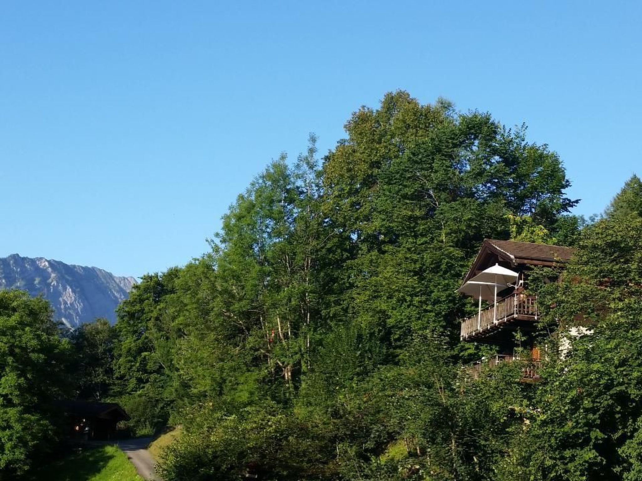 Un chalet de montagne entouré d’une forêt dense, sous un ciel dégagé.