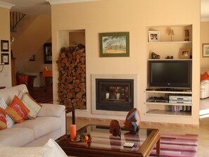 Télévision, cheminée, lecteur de DVD