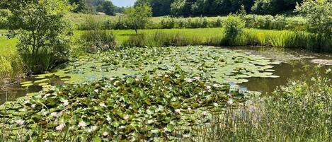 Terrain de lâhĂ©bergement