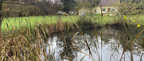 Terrain de lâhĂ©bergement