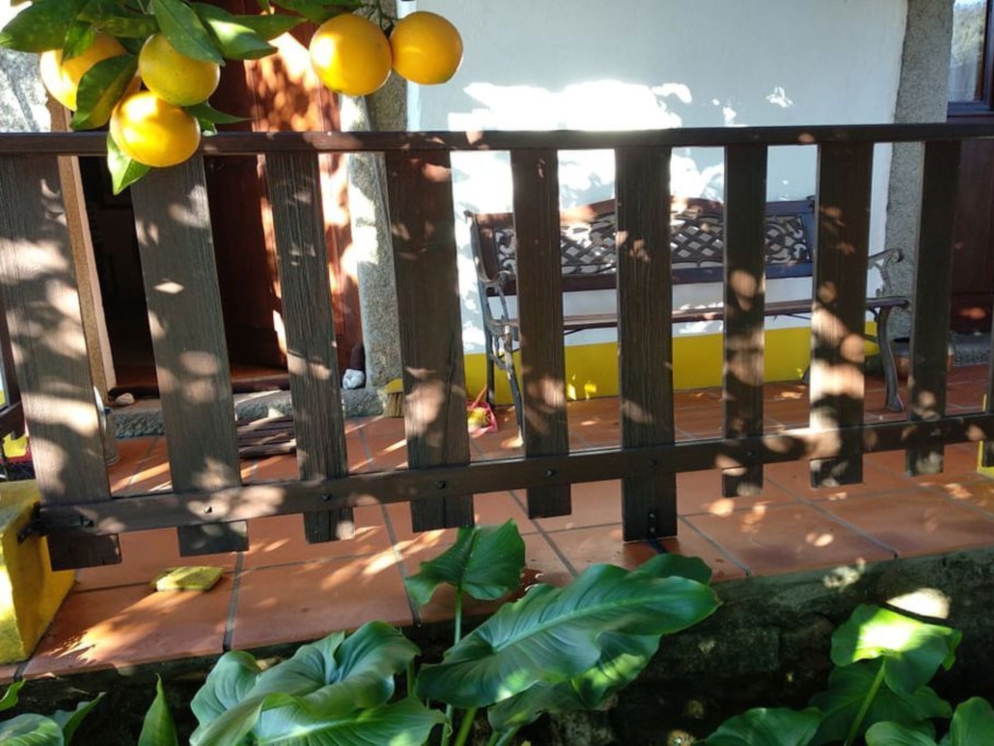Terrasse/gårdhave