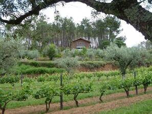 Property grounds - mit Sonnenterrasse und großem Garten by Interhome (Anceriz)