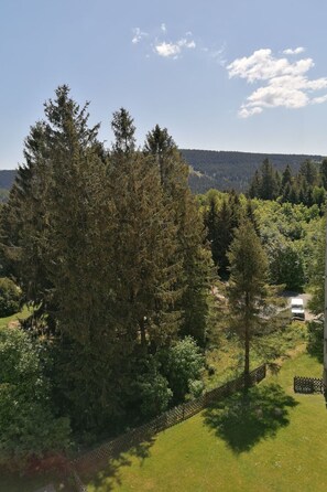 Property grounds - Wohnung in Hahnenklee by Interhome (Goslar)
