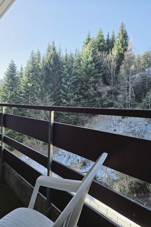 Property grounds - L'Ecrin de Torgon in den Portes du Soleil by Interhome (Torgon)