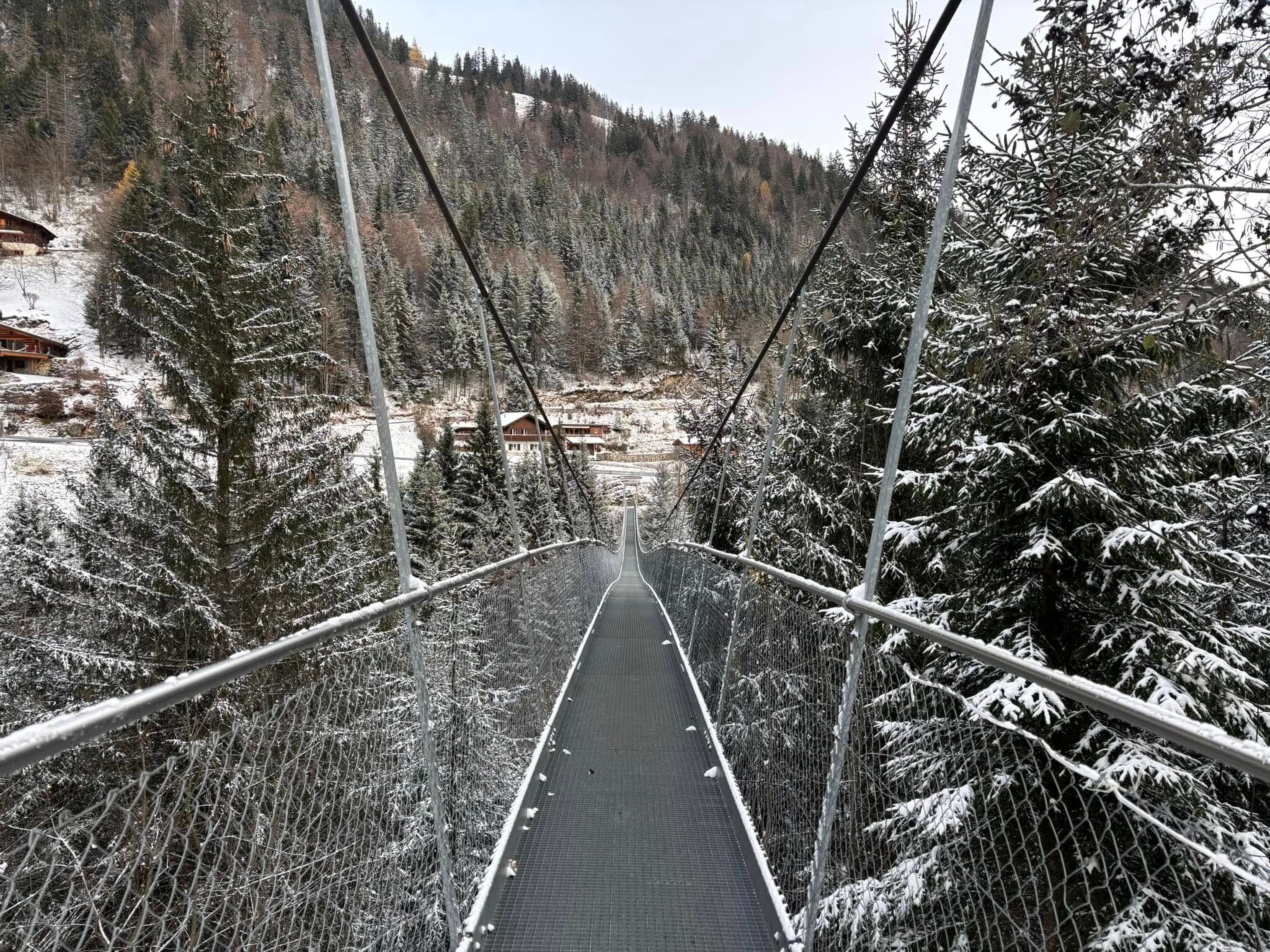 En hängbro i en snötäckt skog, med stugor synliga i bakgrunden.