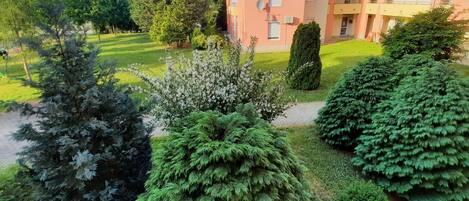 Terrain de lâhĂ©bergement