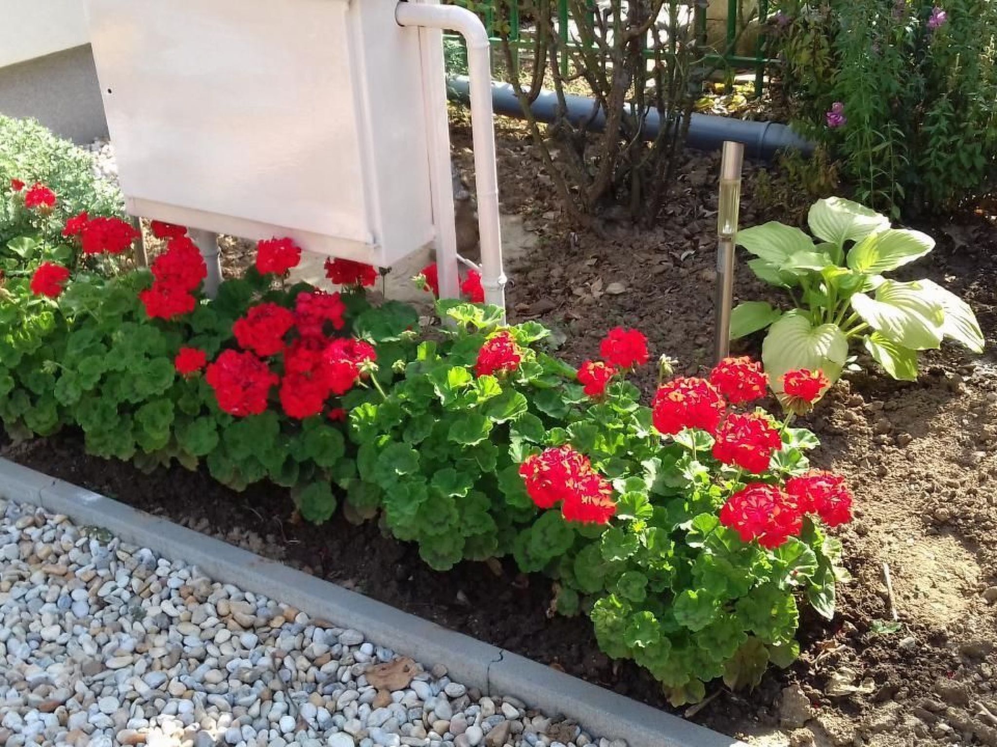 المنطقة المحيطة بالمنشأة