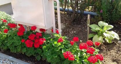 Klimatisiertes Ferienhaus in BĂŒkfĂŒrdö mit Garten by Interhome