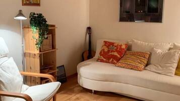 Télévision, cheminée, lecteur de DVD