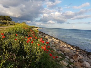 Beach - Portals Vells by Interhome (Dahme)