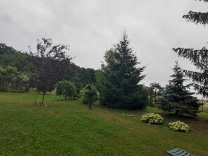 Área da propriedade