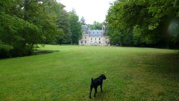 Overnattingsstedets uteområder