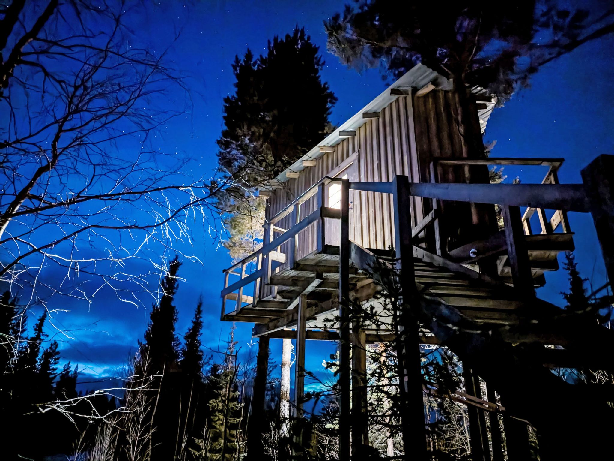 A wooden treehouse with a staircase, surrounded by trees and a night sky.
