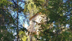 A wooden cabin with a staircase leading up to a deck surrounded by dense forest.