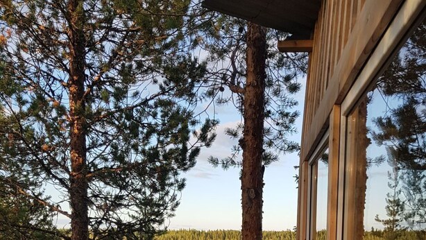 A wooden deck with a glass enclosure overlooking a forested area.