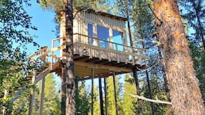 A treehouse with a wooden deck and large windows, surrounded by tall pine trees.