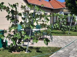 Restauration en plein air