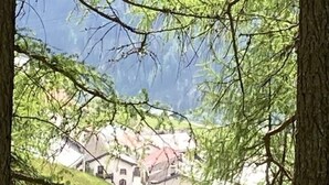 A view of a house surrounded by trees and grass. - Pensiun Tung by Interhome (Vnà)