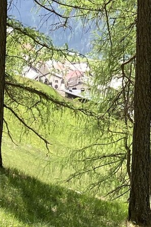 Área da propriedade