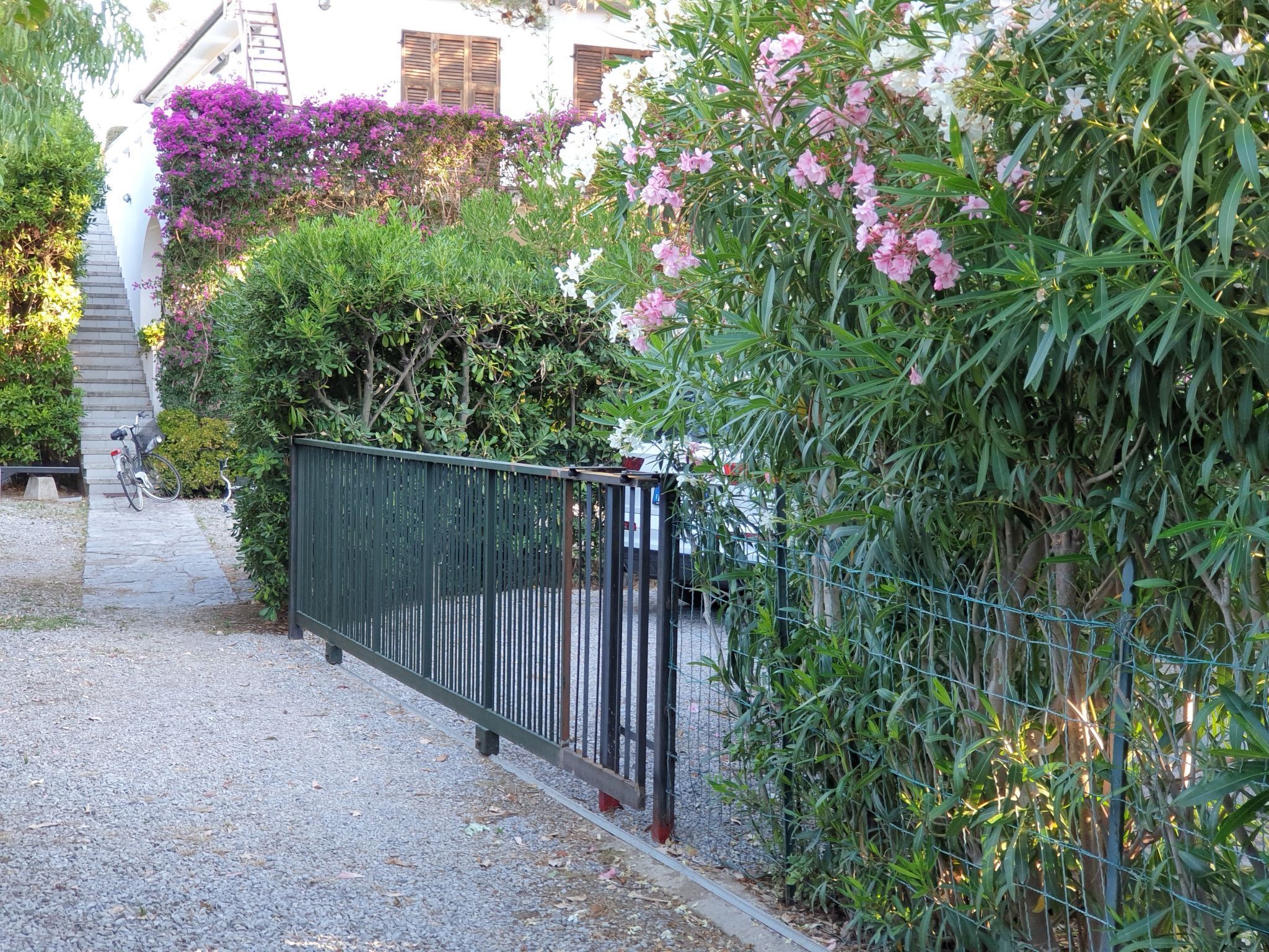 Terrein van de accommodatie