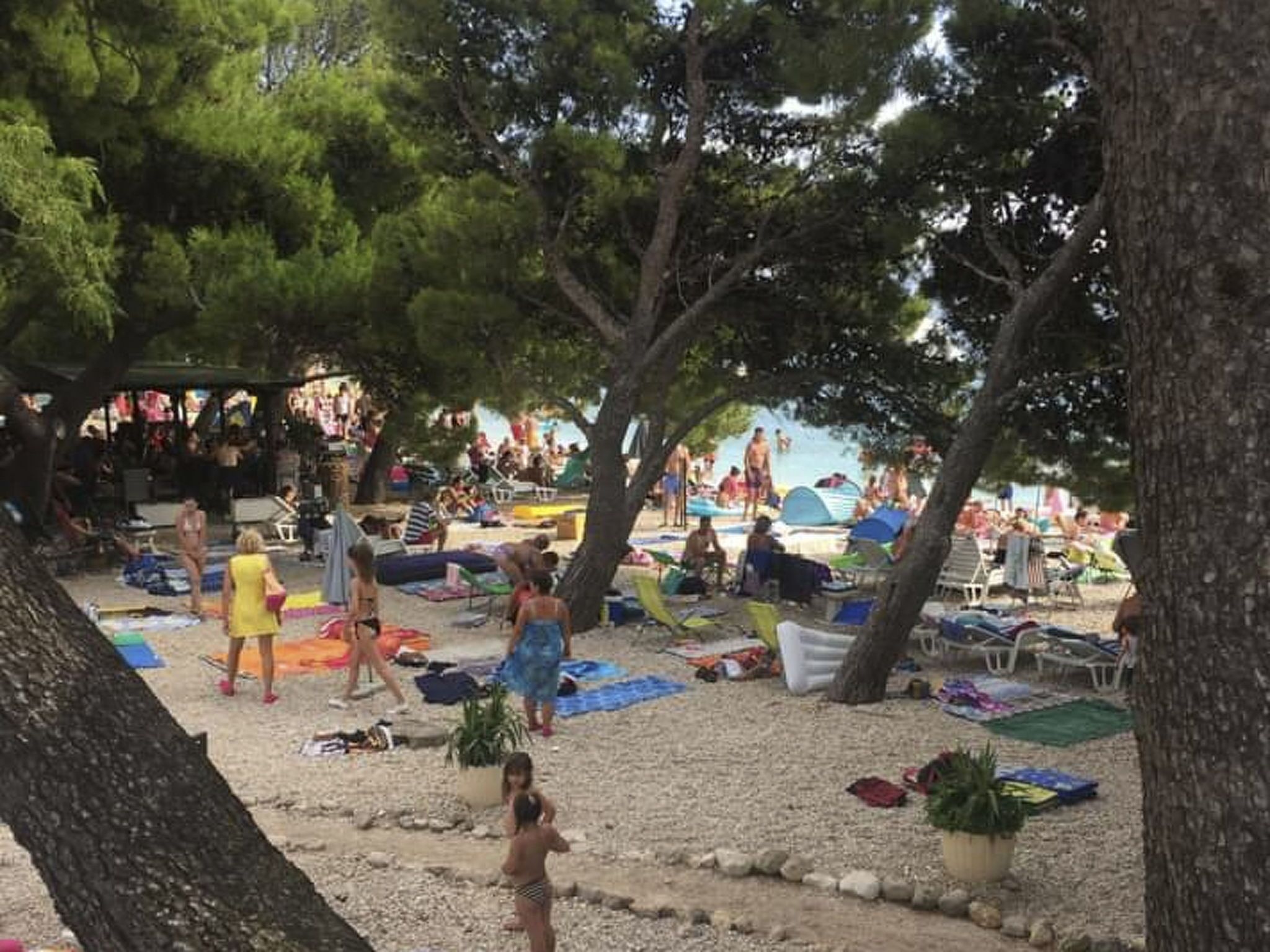 Strand