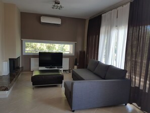 Televisión, chimenea y reproductor de DVD 