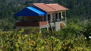 Exterior - Ferien auf dem Bauernhof mit Weinberg by Interhome (Fornos de Algodres)