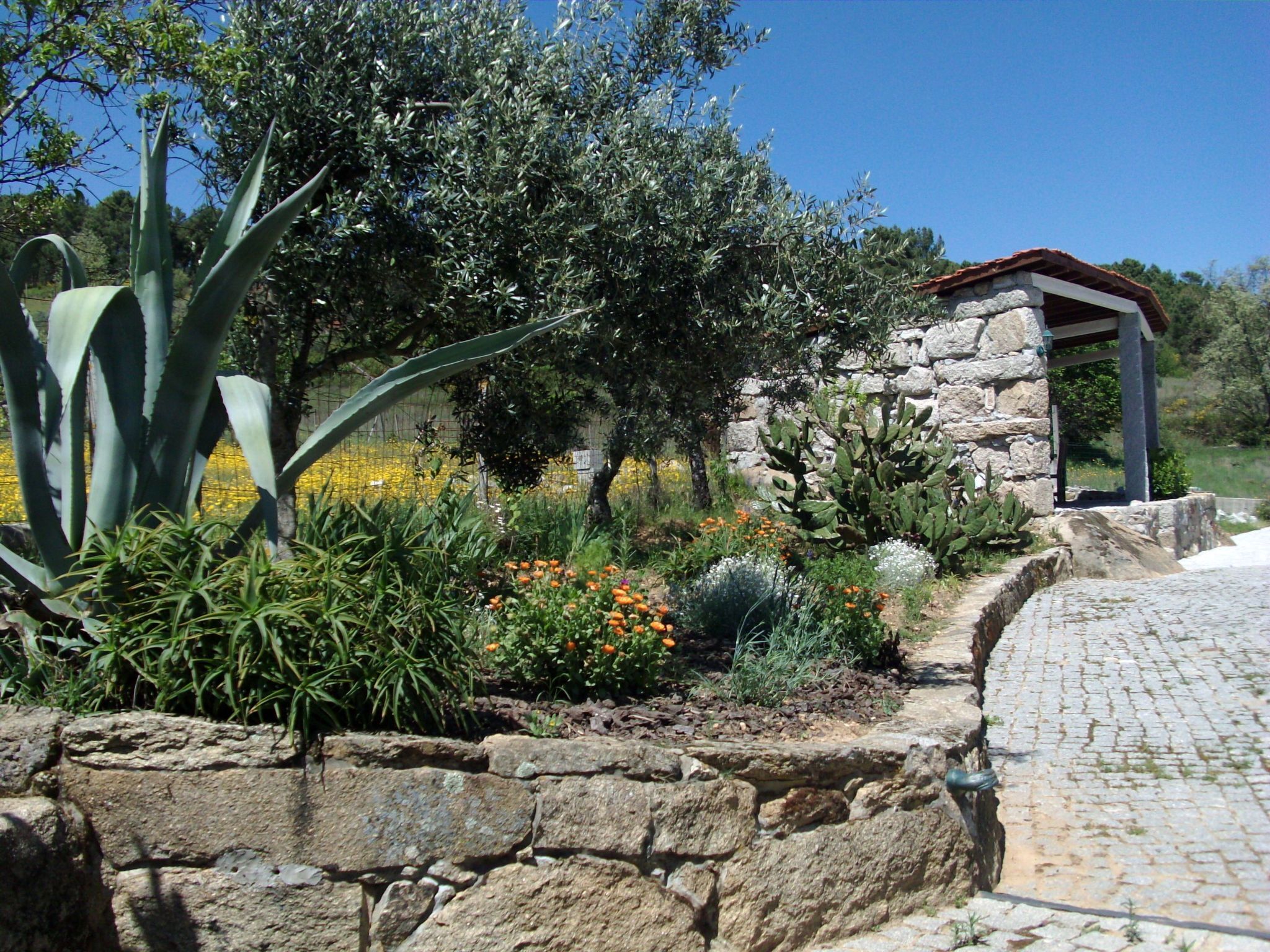 Terrain de l’hébergement 