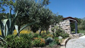 Property grounds - Ferien auf dem Bauernhof mit Weinberg by Interhome (Fornos de Algodres)