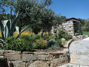 Property grounds - Ferien auf dem Bauernhof mit Weinberg by Interhome (Fornos de Algodres)