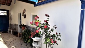 Terras