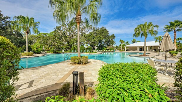 Una piscina rodeada de palmeras y sillones de descanso.