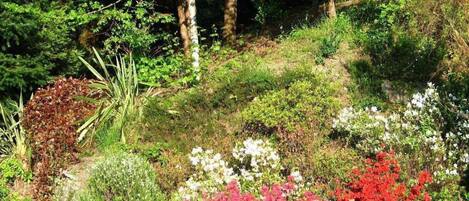 Overnattingsstedets uteområder